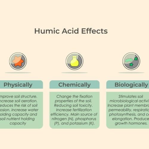 Humins and Humic Acids A Growing Market in Europe