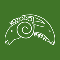 kozodo-png@1.5.png